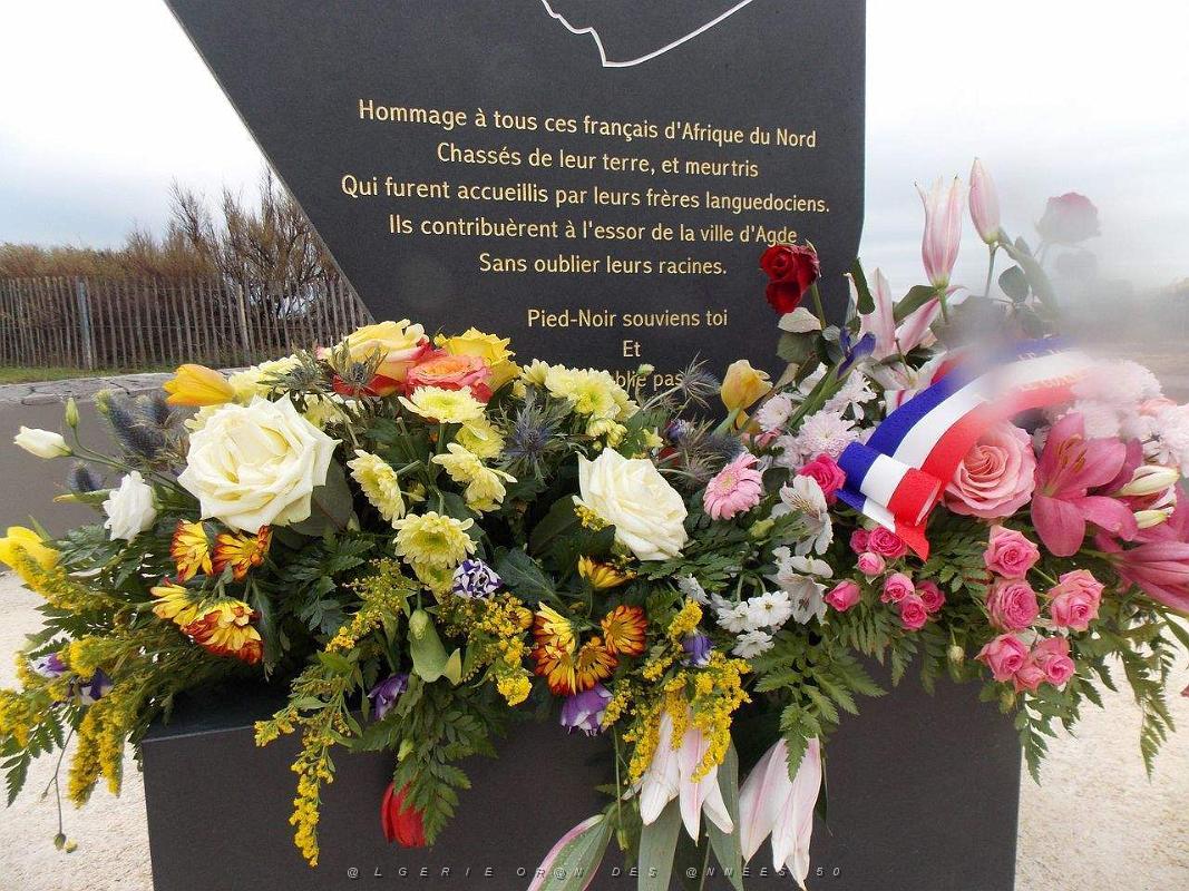 LA STELE DES P.N. AU CAP D AGDE AUX FALAISES DE LA CONQUE (111).jpg